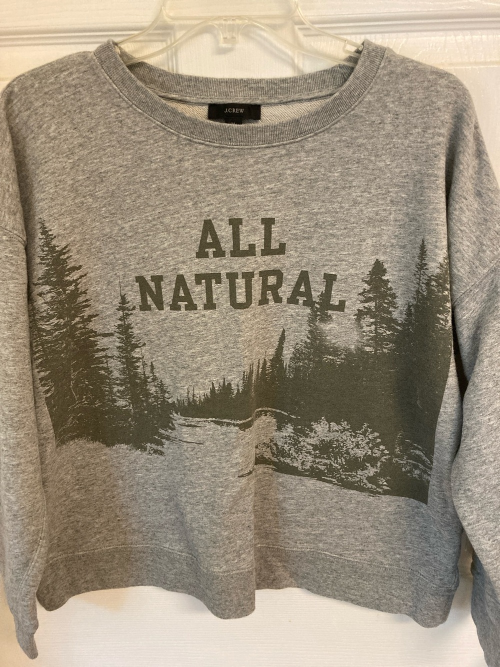 J. Crew Gray Crewneck with Forest Graphic